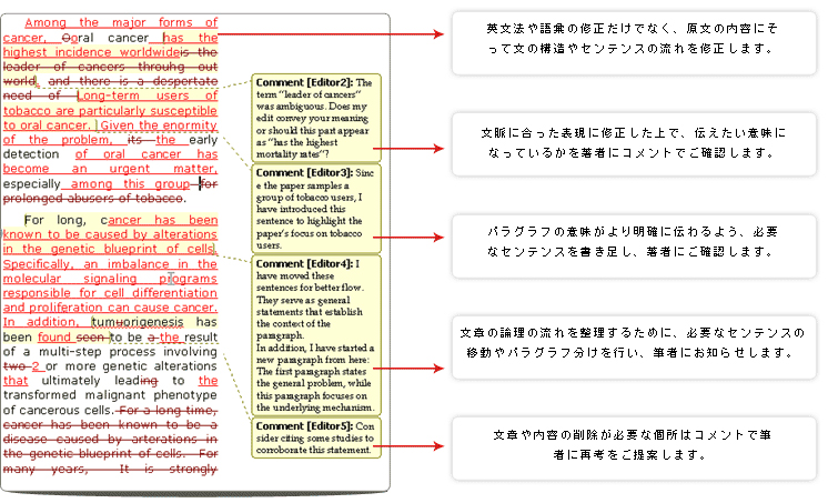 プレミアム英文校正・プレミアム英文校正プラスのサンプル